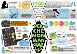 Infographics by Barbara Pollini