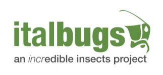 logo-italbugs