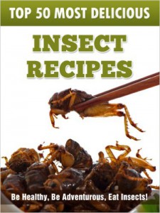 Insect Recipes_Julie Hatfield