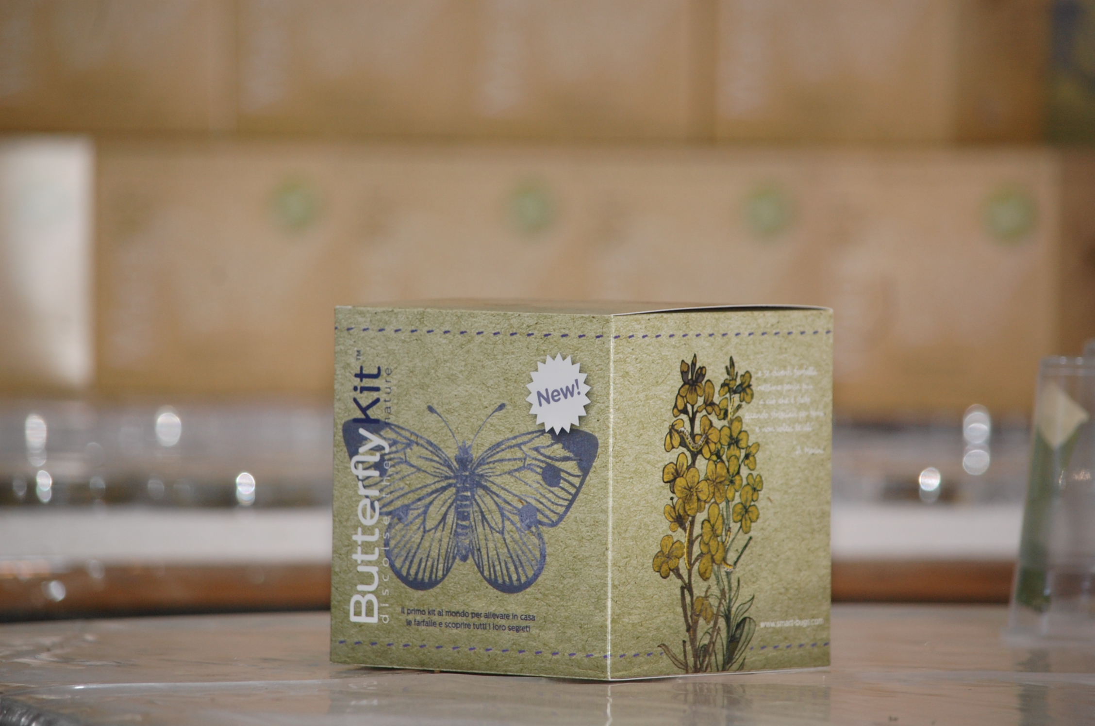 butterfly kit box