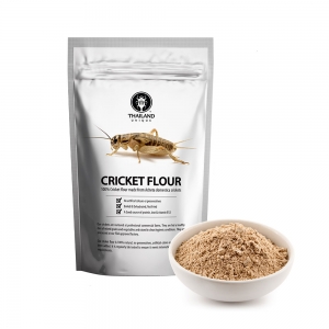 ThailandUnique cricket-flour