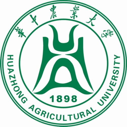 Huazhong logo