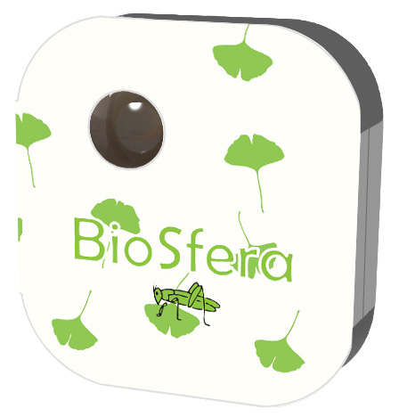 Biosfera edible insects