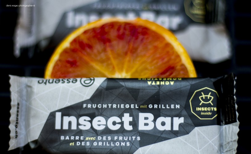 Edible insect bar