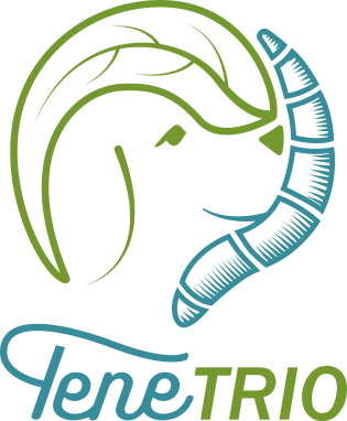 TeneTrio_Logo 2018