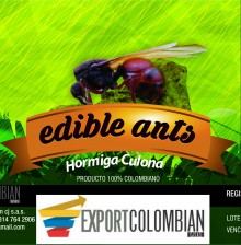 EXPORTCOLOMBIANCJSAS.