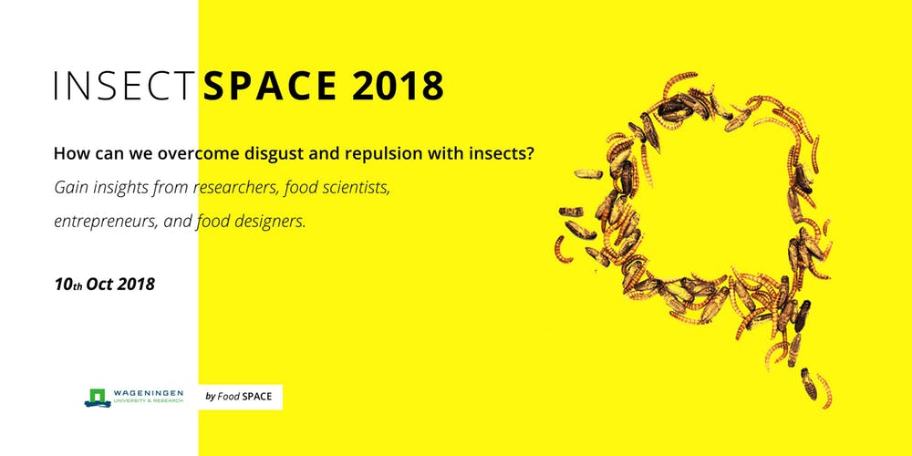 Insects Space 2018