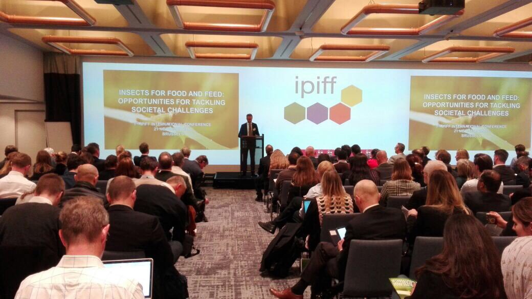 Ipiff conference