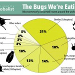 Bugs-Infographic