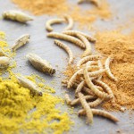 Foto: IlFattoAlimentare.it