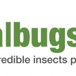 logo-italbugs