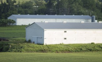 cricket barns