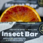 Edible insect bar