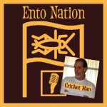 Entonation edible insects