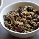 Edible insects granola