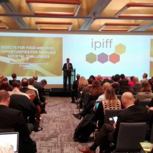 Ipiff conference