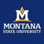 Montana State University logo