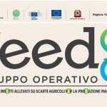 Logo Feeds