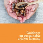 FAO_Guidance on sustainable crickets farming