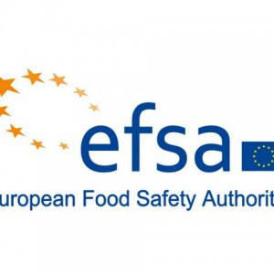 Efsa logo