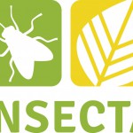 Logo_INSECTA_RGB