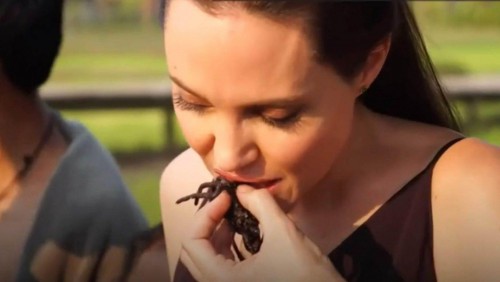 Angelina Jolie eats insects
