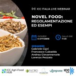 ICC Webinar Novel Food